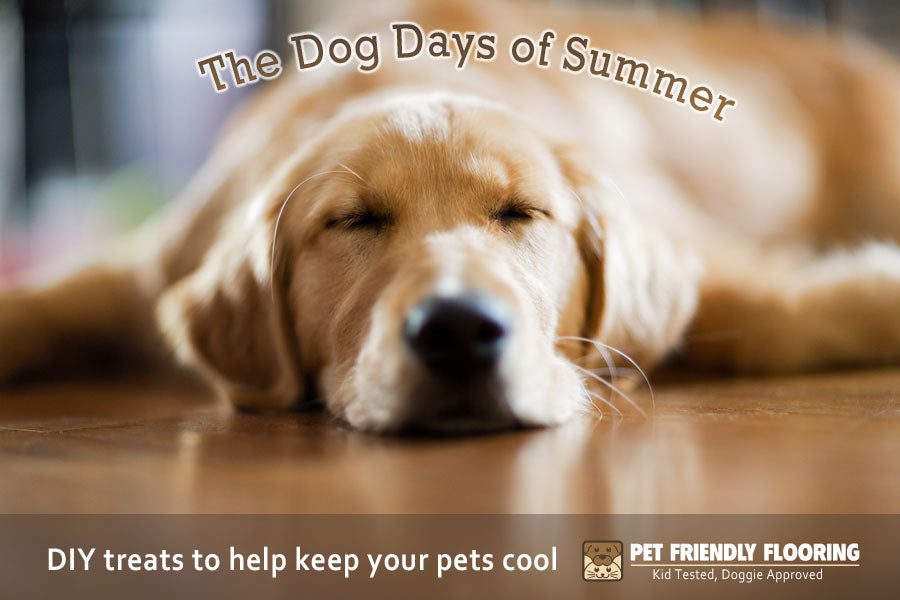 DIY Summertime Dog Treats