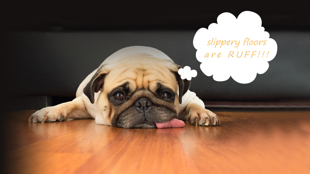 Preventing Dog's from Slipping on Floors Best Floor for Dogs