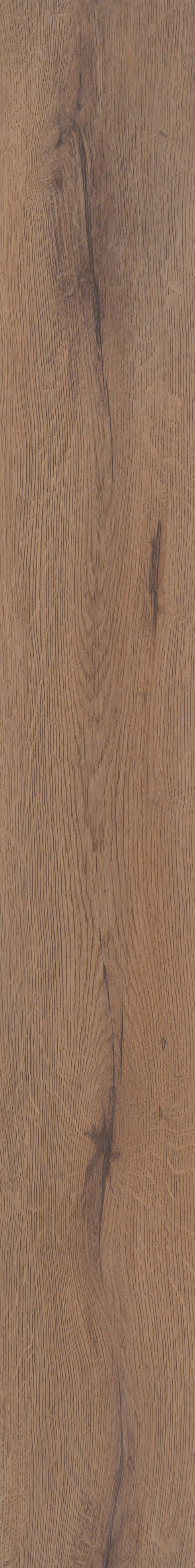 Sand Dollar Oak LVP single plank view