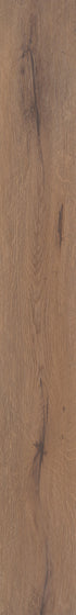Sand Dollar Oak LVP single plank view