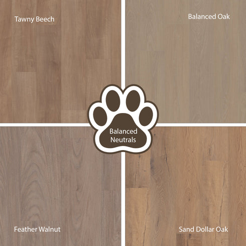 Four wood finish samples labeled Tawny Beech, Balanced Oak, Feather Walnut, and Sand Dollar Oak with a central paw print logo.