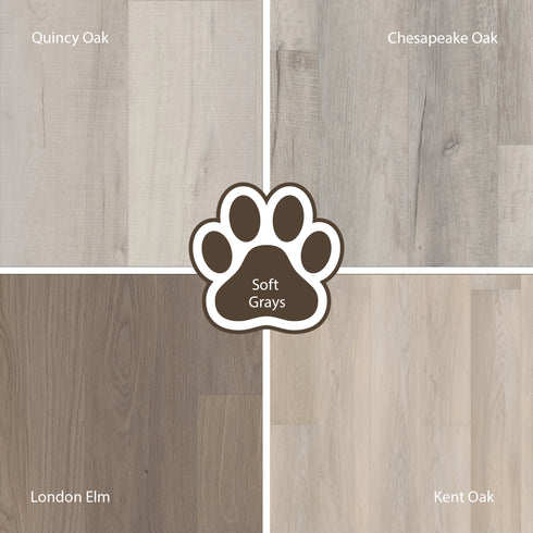 Four different wood flooring samples labeled 'Quincy Oak', 'Chesapeake Oak', 'London Elm', and 'Kent Oak' with a central paw print design.
