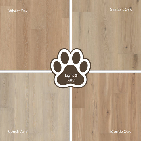 Four different wood flooring samples from the quiet collection. Sample kit includes 'Wheat Oak', 'Sea Salt Oak', 'Conch Ash', and 'Blonde Oak' with a central paw print design.