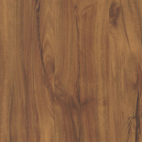 COREtec Gold Coast Acacia - VV023-00201