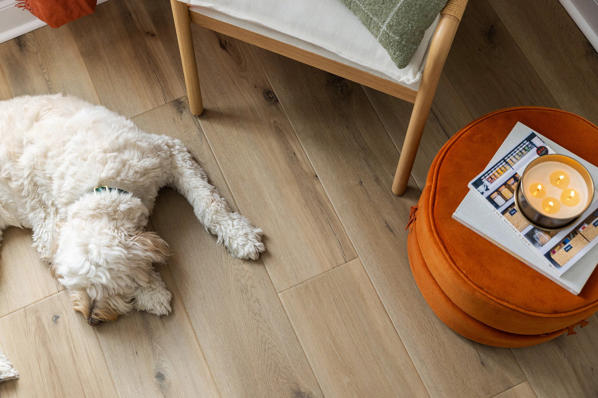 COREtec Originals Collection | Best Floor for Dogs