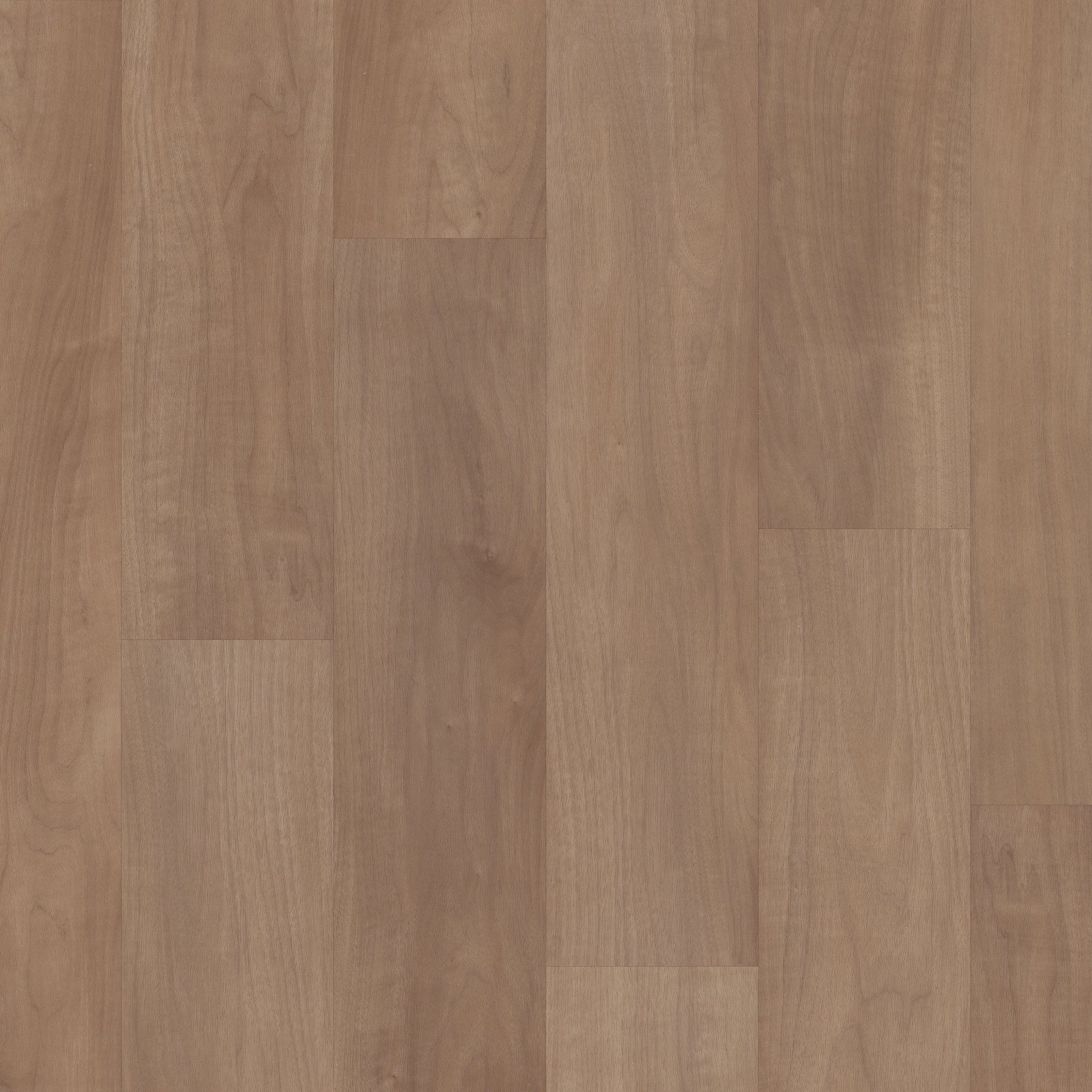 Tawny Beech COREtec | VV820-07023 | Best Floor for Dogs