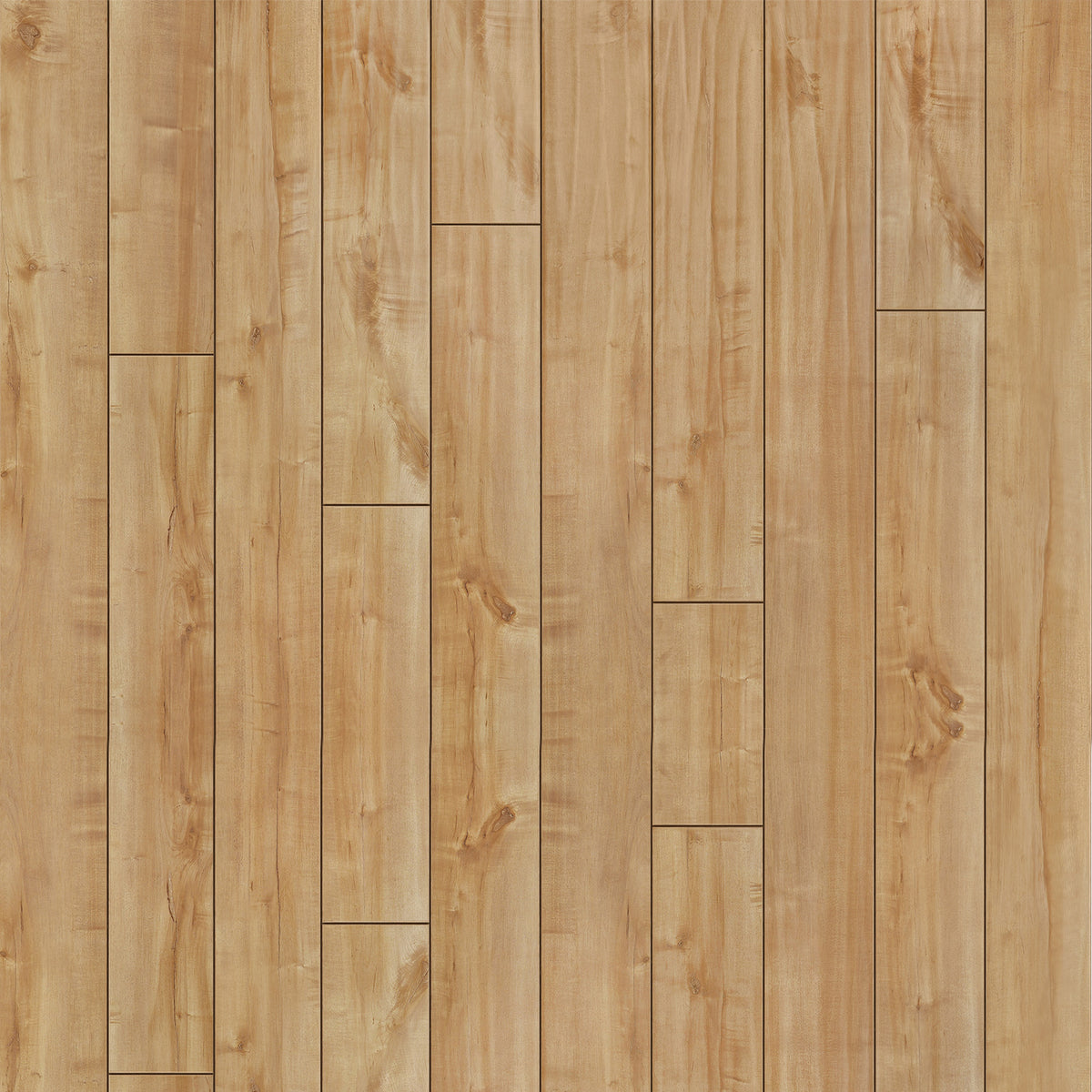 Pet Friendly Flooring Waterproof COREtec LVP & Laminate Best Floor