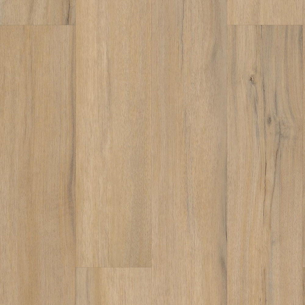 COREtec Dodwell Oak | VV023-00573 | Best Floor for Dogs