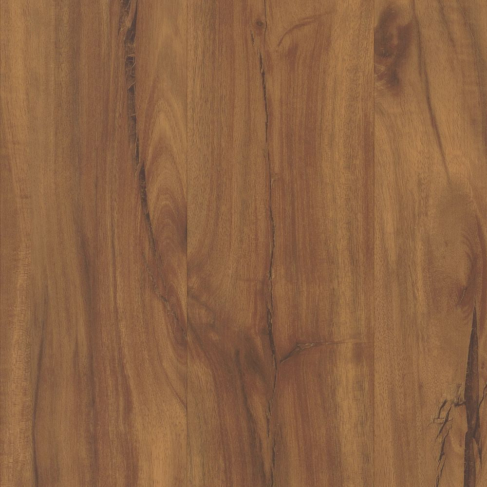 Pet Friendly Flooring Waterproof COREtec LVP & Laminate Best Floor